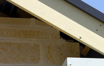 soffit repair Balcurvie